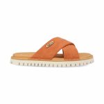 Jamesabby.shopddde882464 2